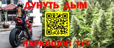 спайс Гатчина