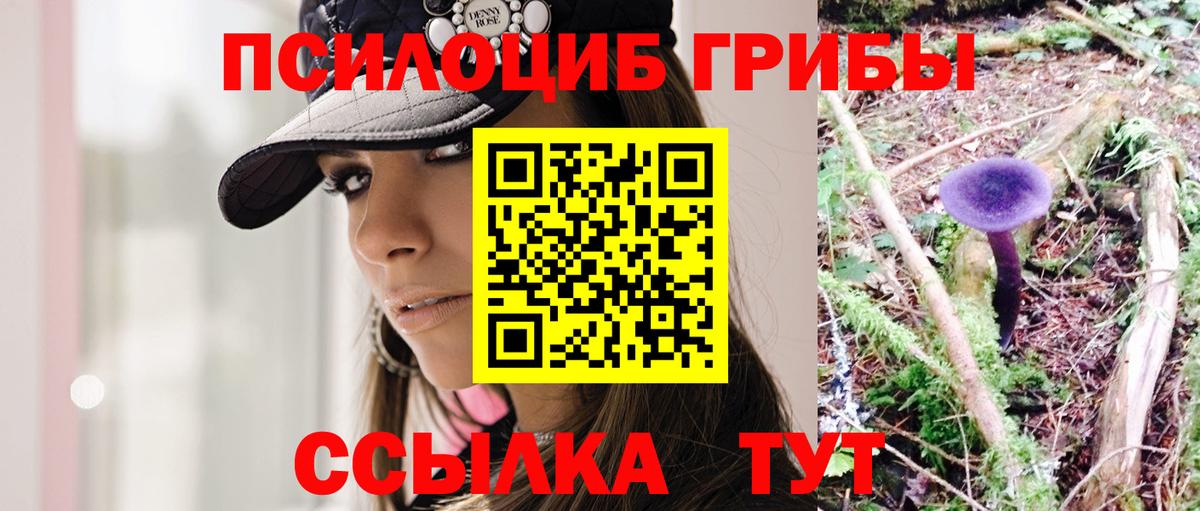 Псилоцибиновые грибы Psilocybine cubensis  Вход с VPN  Новосибирск  Псилоцибиновые грибы Magic Shrooms 