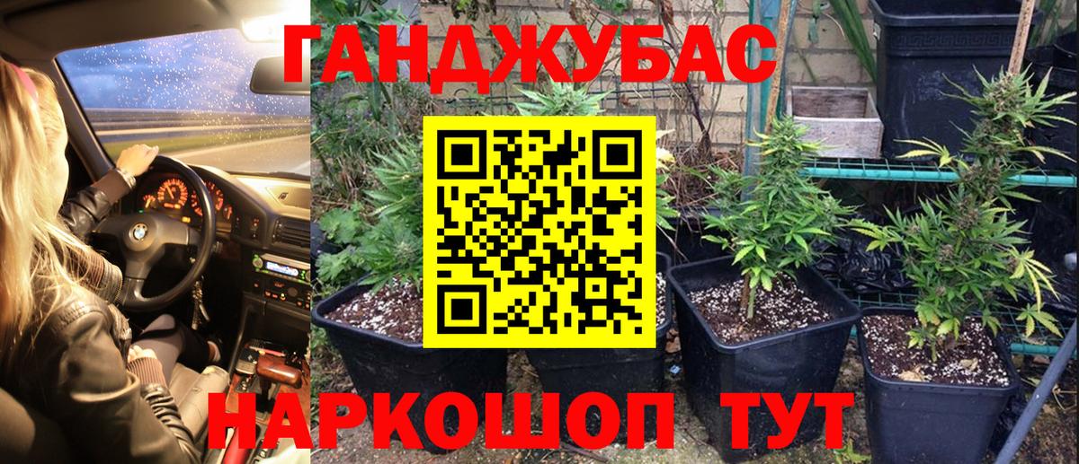 Каннабис ГИДРОПОН  Конопля White Widow  Новосибирск  Вход с VPN  Марихуана планчик 